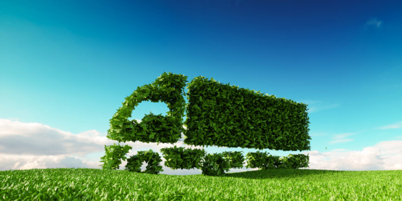 Eco-Friendly Practices in Logistics & Freight Forwarding for Sustainable Shipping