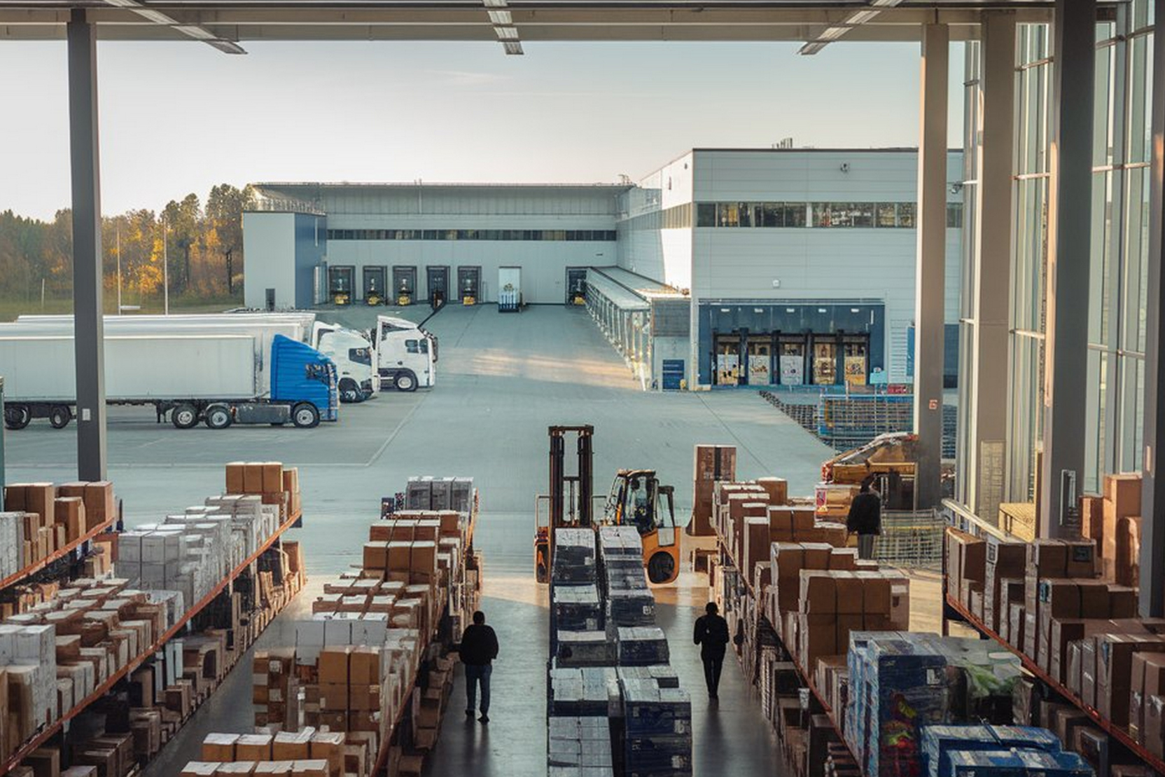 Warehouse and Distribution Services UAE for SMEs: Enabling Scalable and Efficient Supply Chain Growth